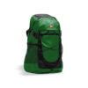 fern-green-226